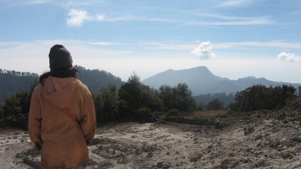 puncak rengganis argopuro Puncak Rengganis Argopuro