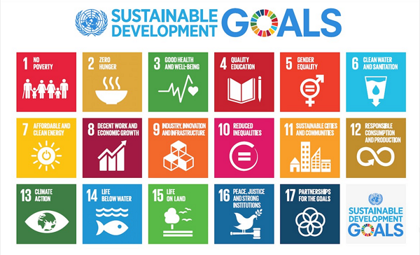 sustainable development goals sustainable development goals
