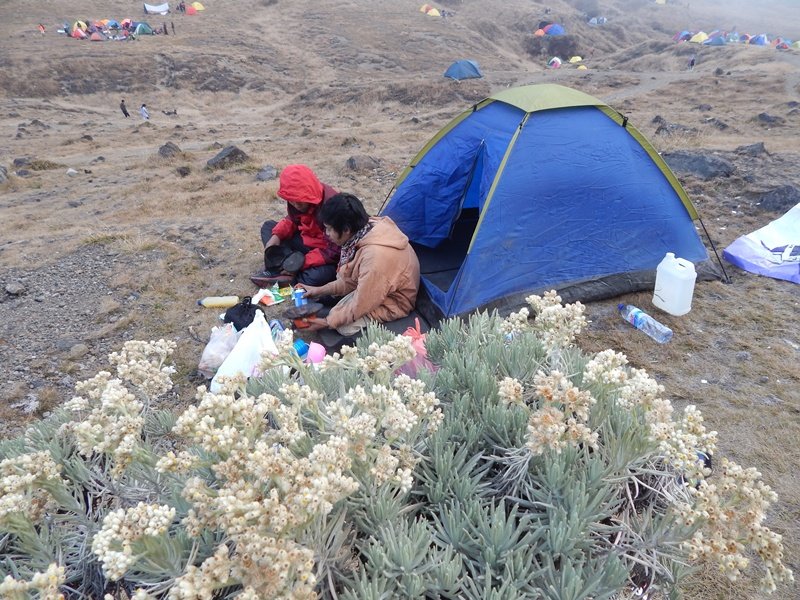 camping di gunung