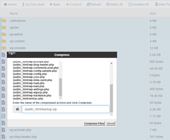 backup data web di file manager