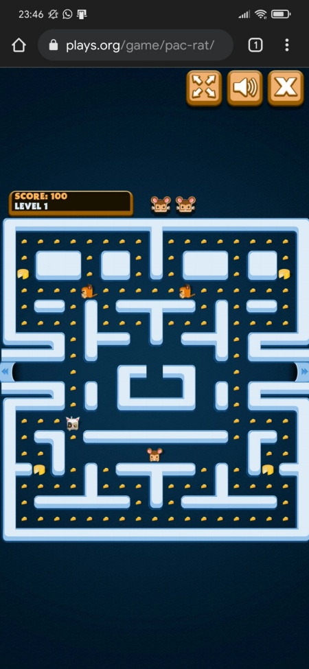 pac rat play